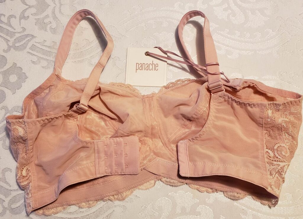 Image of Andorra Wire-free off the body to show interior cup design and back wings