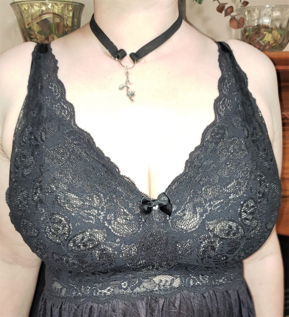 Close up of lace bodice detail