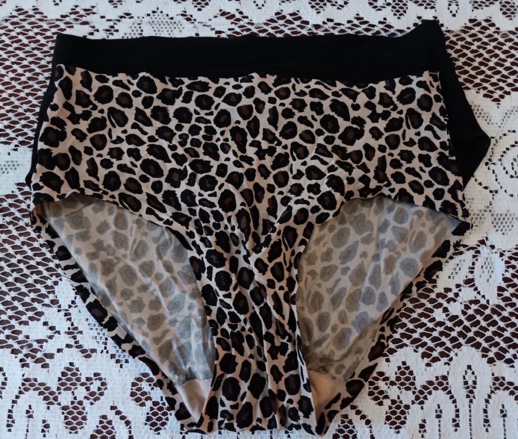 Front of the Chantelle seamless hipsters laying flat