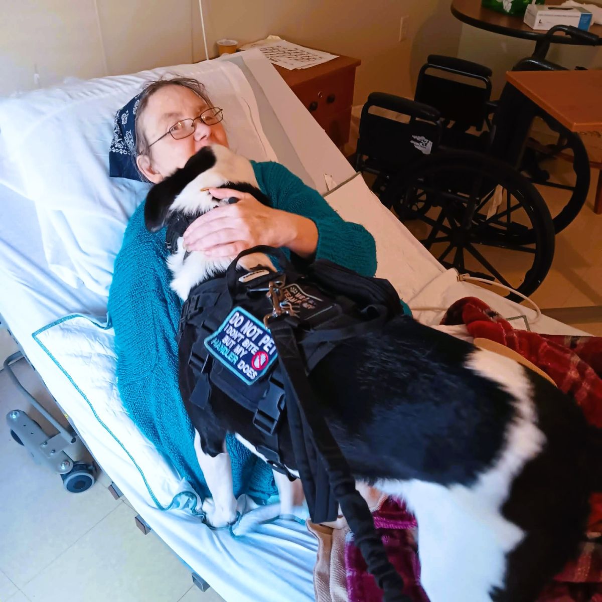 Image of Debbie with Medjay giving her kisses